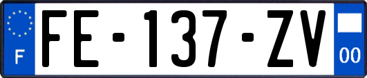 FE-137-ZV