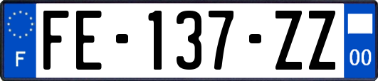 FE-137-ZZ