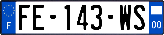FE-143-WS