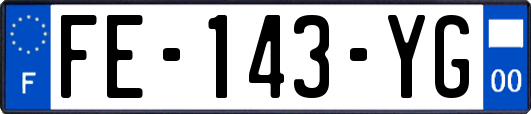 FE-143-YG