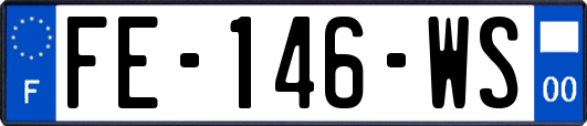 FE-146-WS