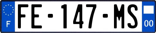 FE-147-MS