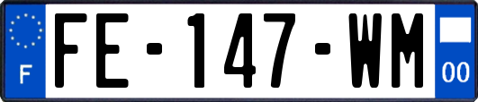 FE-147-WM