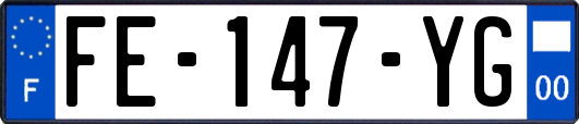 FE-147-YG