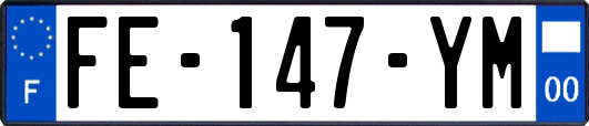 FE-147-YM