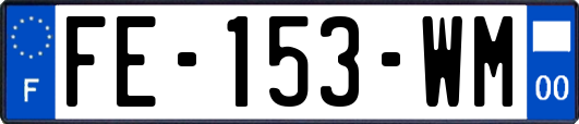FE-153-WM