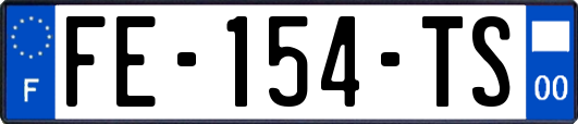 FE-154-TS