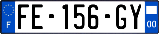 FE-156-GY