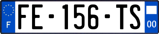 FE-156-TS