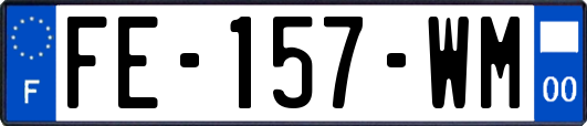 FE-157-WM