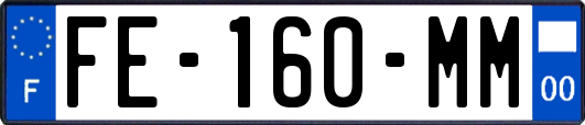 FE-160-MM