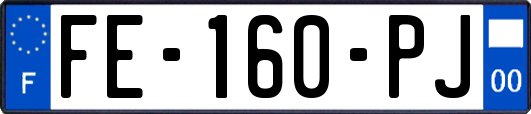 FE-160-PJ