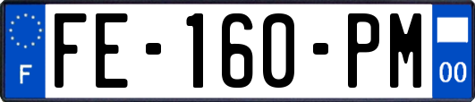 FE-160-PM