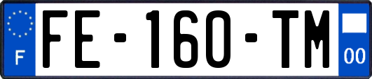 FE-160-TM
