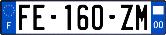 FE-160-ZM