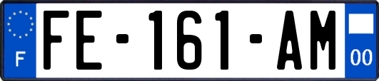 FE-161-AM