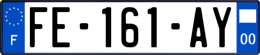 FE-161-AY