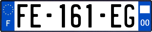 FE-161-EG