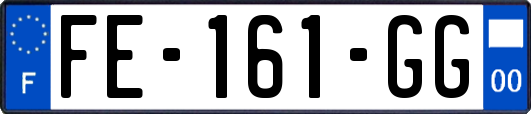 FE-161-GG