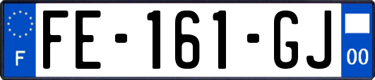 FE-161-GJ