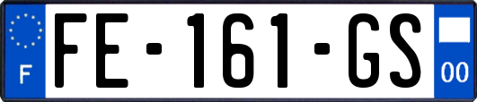 FE-161-GS