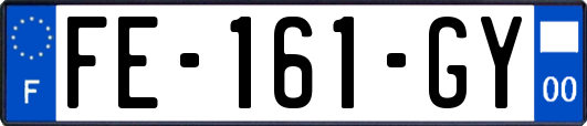 FE-161-GY
