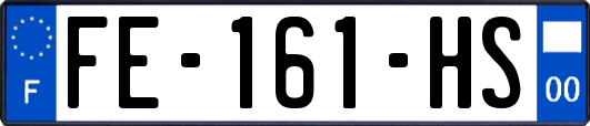 FE-161-HS