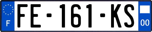 FE-161-KS