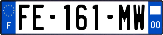 FE-161-MW