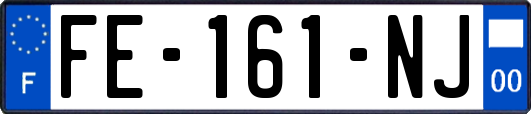 FE-161-NJ