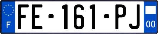 FE-161-PJ