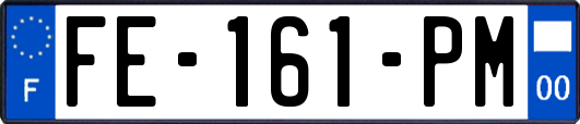 FE-161-PM