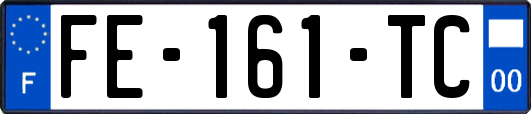 FE-161-TC