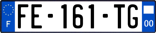 FE-161-TG