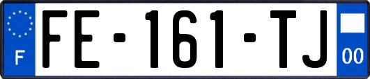 FE-161-TJ