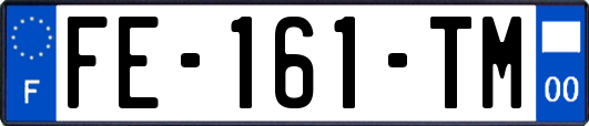 FE-161-TM