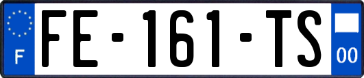 FE-161-TS