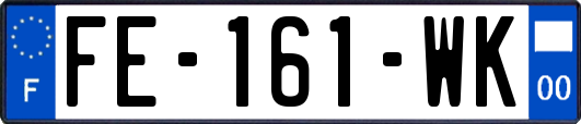 FE-161-WK
