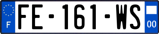 FE-161-WS