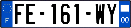 FE-161-WY