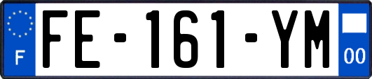 FE-161-YM