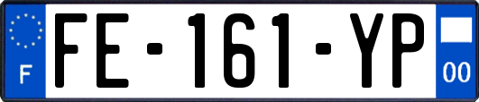 FE-161-YP