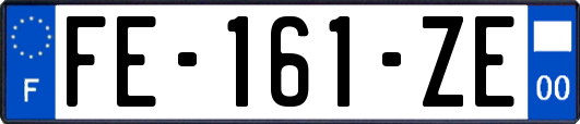 FE-161-ZE