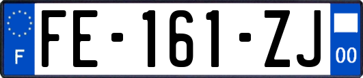 FE-161-ZJ