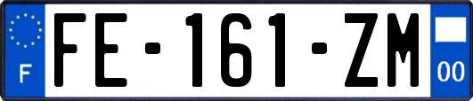 FE-161-ZM