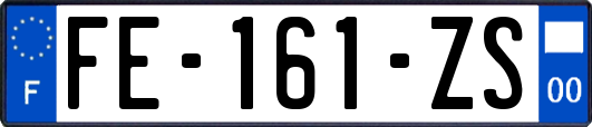 FE-161-ZS