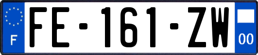 FE-161-ZW