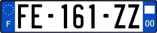 FE-161-ZZ