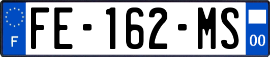 FE-162-MS