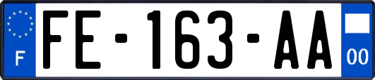 FE-163-AA